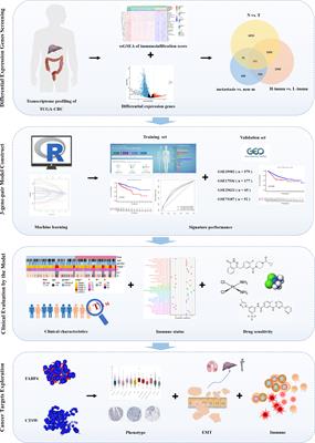 Frontiers | A Novel Prognostic Signatures Based On Metastasis- And ...